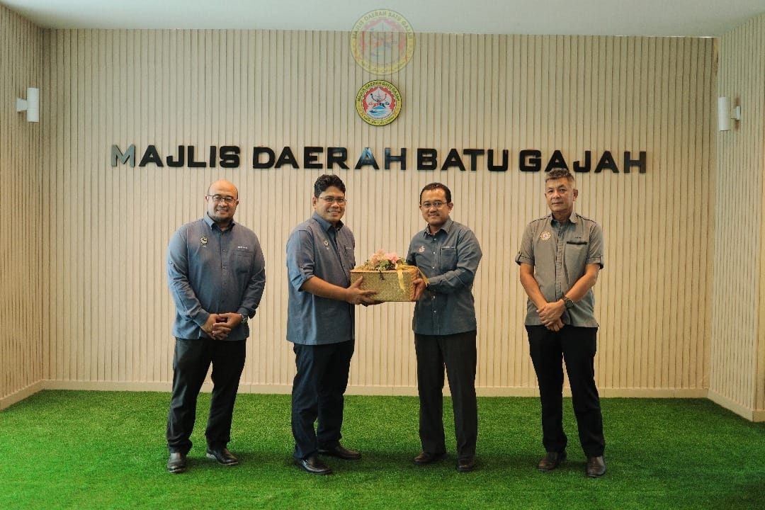 ddms